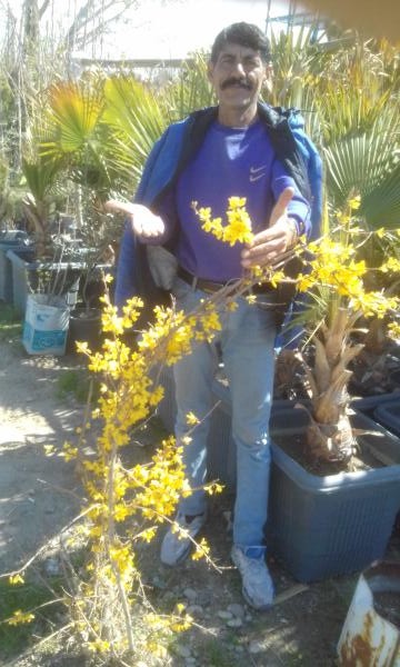 تصویر پروفایل بدون نام