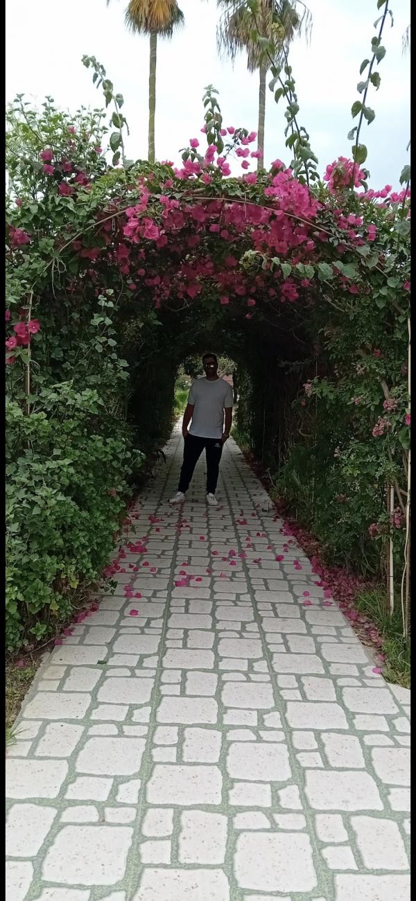 تصویر پروفایل ارمان