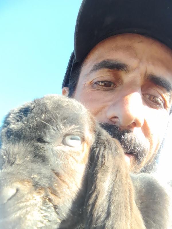 سایت همسریابی آغاز نو پروفایل 9999354829