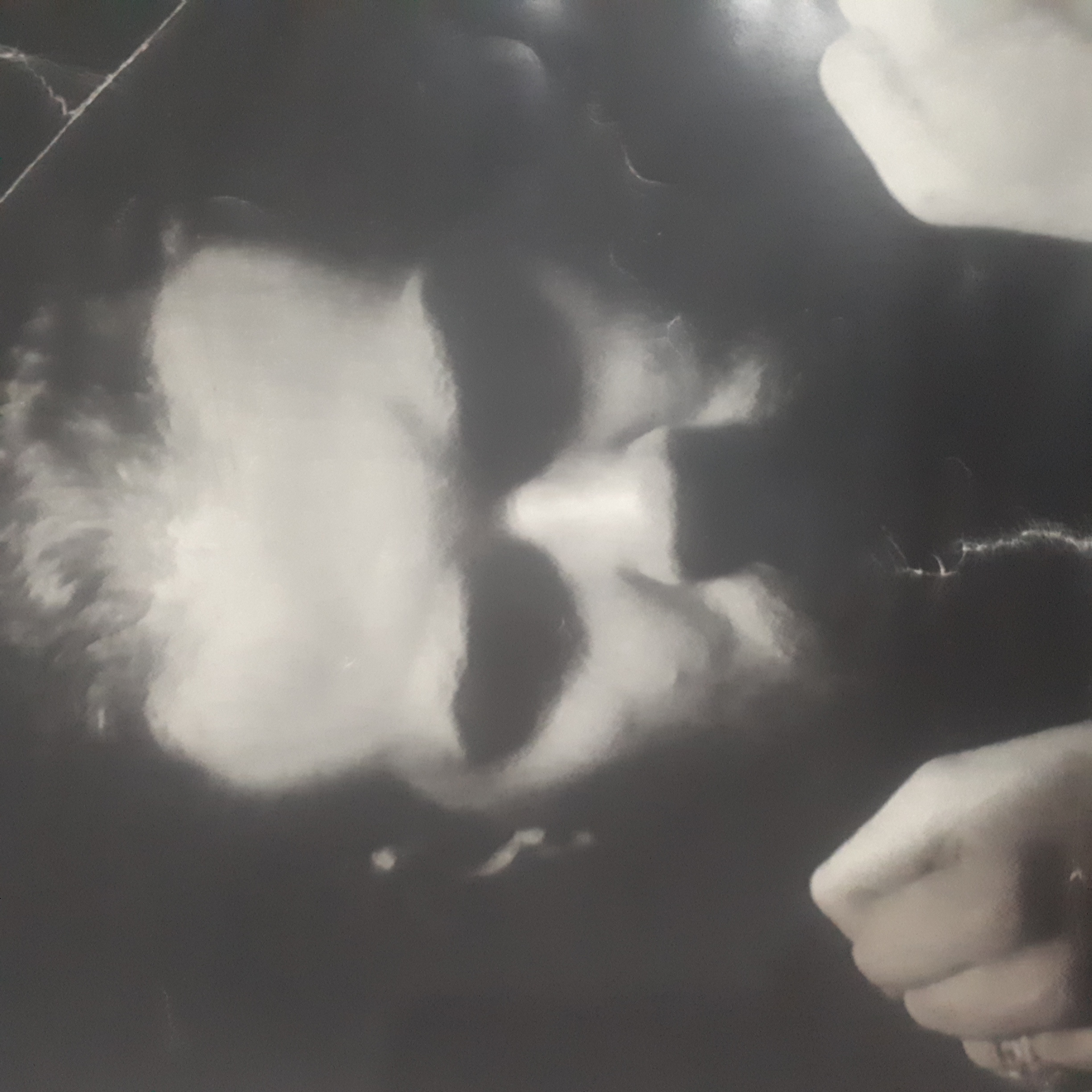 تصویر پروفایل میلاد