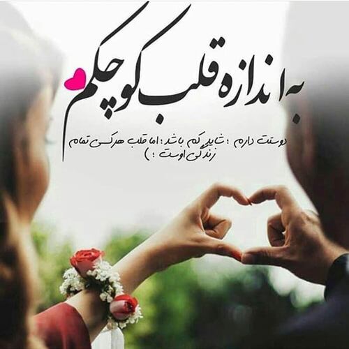 تصویر ورود به سایت بهترین همسریابی همسر