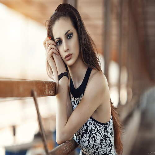 گروه آریان جدید