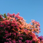 چرا سایت همسریابی هلو باز نمی‌شود؟؟